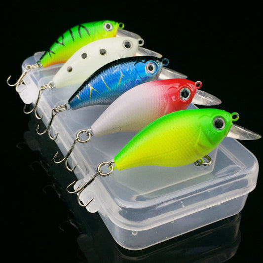 Fishing Bait, Tackle, and Gear Collection
